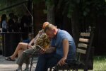 Українці. Фото: скрін youtube