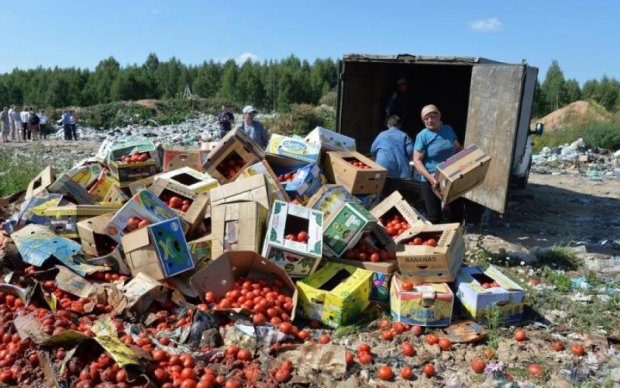 Чавили та витоптували: росіян висміяли через "розправу" над українськими томатами