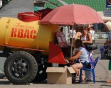 Забудьте о квасе: украинцам объяснили, кто живет в бочках с любимым напитком