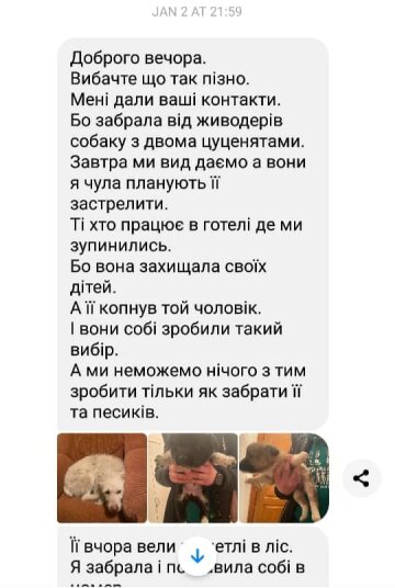 Сообщение / фото: Facebook