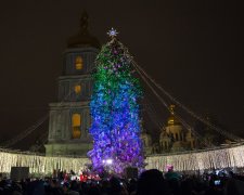 Новорічні свята закінчуються, головну ялинку країни розбирають і підводять підсумки: тони глінтвейну та м’яса