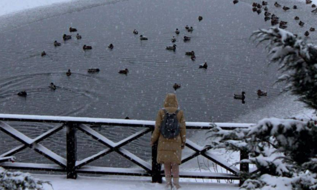 Українці, сніг, зима, фото із соцмереж