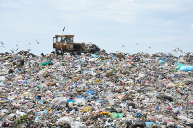 Грибовицьке сміттєзвалище, фото "Суспільне"