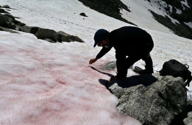 Розовый лед в Альпах, фото: sciencealert