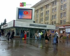 Харківську "зоозахисницю" викрили одним відео: "Ненавиджу таких, як ви"