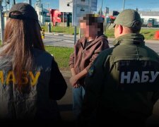 Екстрадиція фігурантки справи