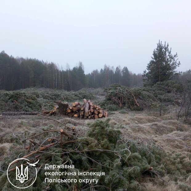 ����: znaj.ua