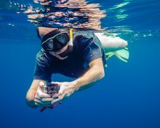 В водах Антарктики обнаружили цыпленка-монстра без головы: леденящие душу кадры