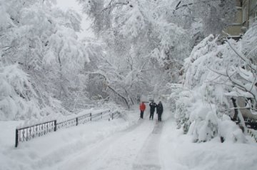 Погода на 7 февраля: не успело похолодать, а уже известно, когда потеплеет снова