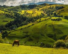 Україна може стати туристичною Меккою вже завтра, - Ніколаєнко