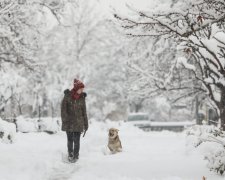 Погода на 21 січня: циклон зробить понеділок найгіршим днем тижня