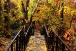 Погода в Україні, фото Instagram