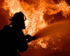 У полоні вогню: під Києвом сталася масштабна пожежа