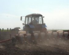 Чого українцям чекати від земельної реформи