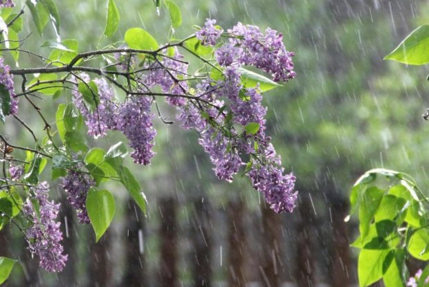 Погода на 15 травня: весняні дощі зіткнуться з літньою спекою
