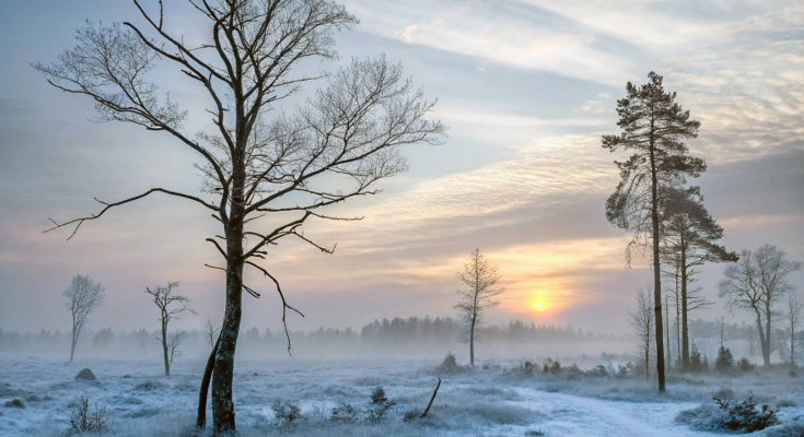 Погода зимой / фото: Pixabay