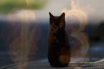 П'ятниця 13-те, фото: кадр з відео