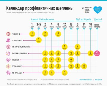 Календар щеплень, ілюстрація: moz.gov.ua