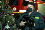 Пожежна частина в Херсоні, фото: скріншот з відео