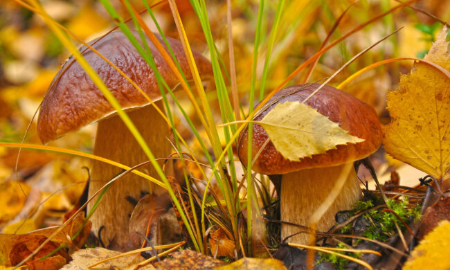 Погода на 30 октября: синоптик осчастливила теплым прогнозом