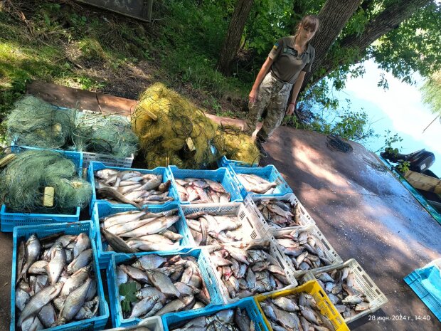 незаконный лов рыбы - Госэкоинспекция