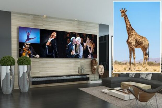 LG Extreme Home Cinema — это самый большой в мире экран DVLED-телевизора, он даже выше жирафа