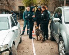 "Знайдіть нашого хлопчика": під Києвом третій тиждень батьки шукають двометрового хлопця з бородою