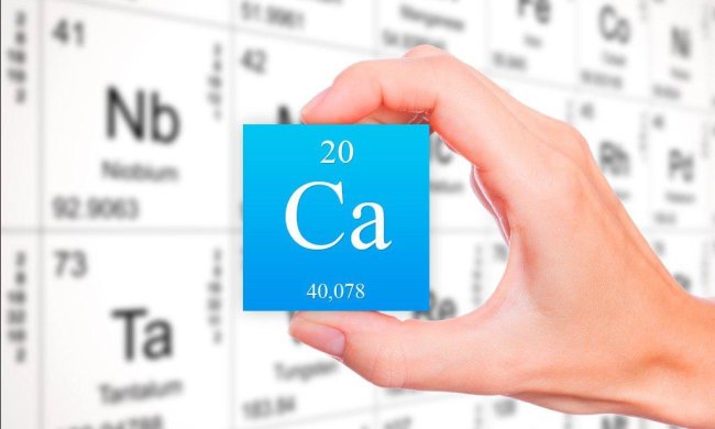 Не молоком єдиним: ці продукти містять кінську частку кальцію