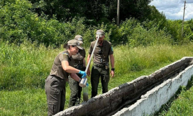 Держекоінспекція