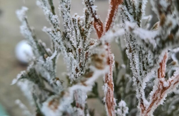 Морозные узоры, фото: Укргидрометцентр