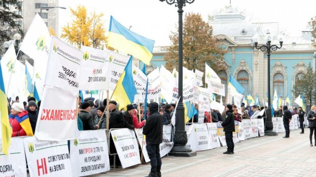 Так начинался Майдан: в Киеве под Радой отаборились протестующие, силовики валятся с ног