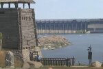 Їжачки-лунатики позбавили запоріжців сну - пихтять і тупотять під вікнами, як слони