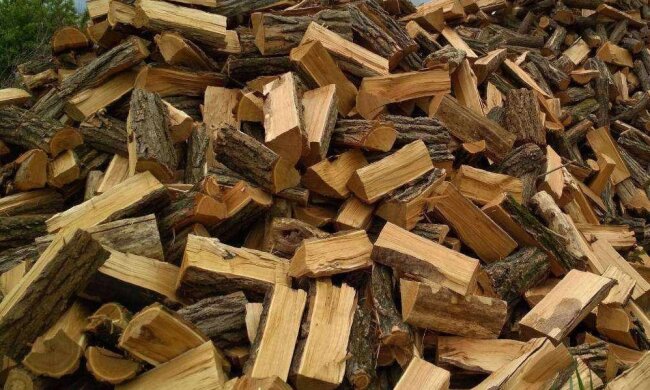 Дрова - фото torg.ukr.bio
