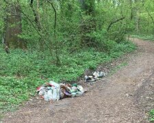 Купи сміття та непотребу - у Львові любителі шашликів перетворили Сихівський ліс на огидне звалище