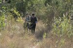 "Симпатичные" грибы стали хитом сезона во Львове: яркие кадры осенних даров