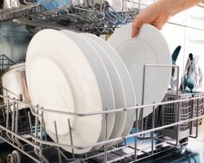 Хлопець переховувався від копів у посудомийній машині