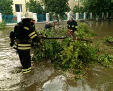 Природа беспощадна: какие пакости готовит погода украинцам