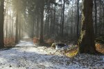 Ура, дочекалися! Київ засипле снігом 20 січня