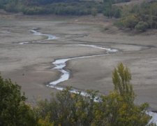 Криму загрожує вимирання: що творять окупанти