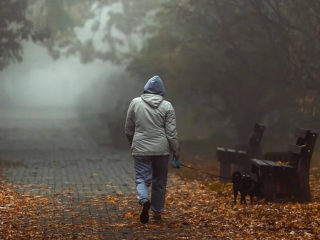 Українці, осінь, туман, фото із соцмереж