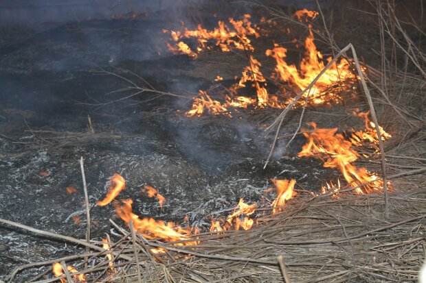 Пожар на Донбассе, фото: ВСУ