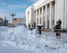 Рада "утонула" в горах снега, не подступиться: "Киевлянам негде митинговать"