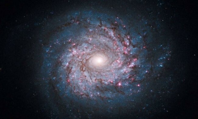 Вчені знайшли нове пояснення народженню Сонячної системи