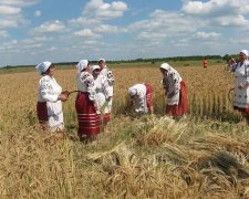 5 августа по народному календарю отмечается праздник Трофима Бессонника