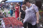 Клубника. Фото: скрин youtube