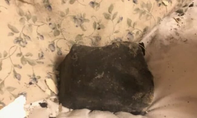 Метеорит. Фото: CBC News.