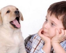 Домашні улюбленці провокують хропіння