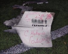 обломки иранского дрона-камикадзе в Киевской области