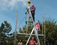 Садовник вырастил подсолнух-мутант высотой в 5 этажей