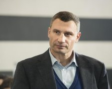 Кличко списал на брата нюансы в декларации
